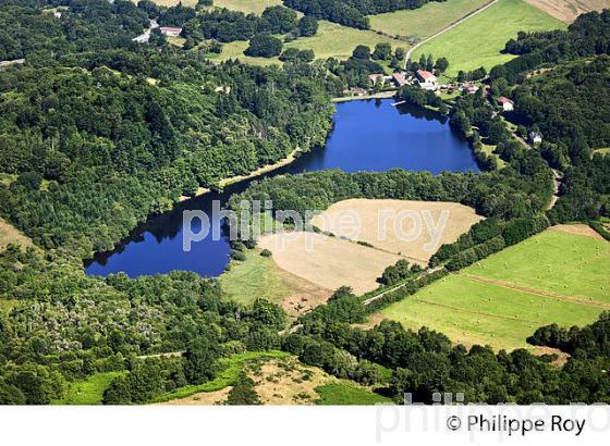 PAYSAGE AGRICOLE, MONTS D' AMBAZAC,  HAUTE-VIENNE, HAUT-LIMOUSIN. (87F01108.jpg)