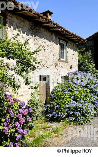 VILLAGE DE VAULRY, MONTS DE BLOND, HAUTE-VIENNE, HAUT-LIMOUSIN. (87F01121.jpg)