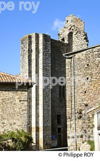 FORTERESSE DE CHALUS, PAYS DES FEUILLARDIERS, HAUT-LIMOUSIN. (87F01224.jpg)