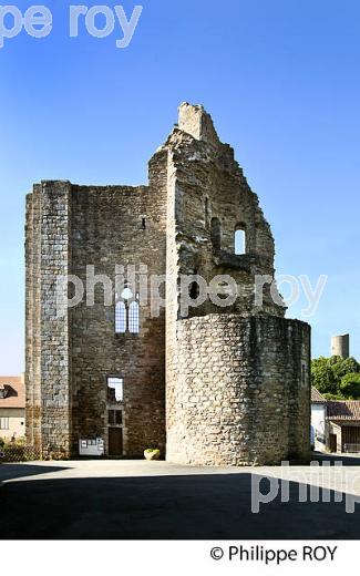 FORTERESSE DE CHALUS, PAYS DES FEUILLARDIERS, HAUT-LIMOUSIN. (87F01226.jpg)