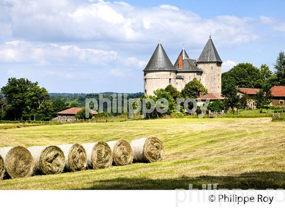 CHATEAU FORT DE BRIE, PAYS DES FEUILLARDIERS, HAUT-LIMOUSIN. (87F01233.jpg)