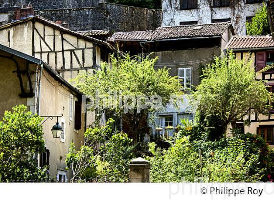 QUARTIER DE L' ABBESAILLE,  RIVE  DE LA VIENNE, LIMOGES, HAUTE-VIENNE, LIMOUSIN. (87F01932.jpg)