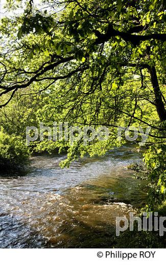 LA VIENNE, COMMUNE DE NEDDE, HAUTE VIENNE,LIMOUSIN. (87F02122.jpg)