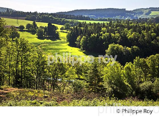 PAYSAGE DU LIMOUSIN, PLATEAU DE MILLEVACHES, COMMUNE DE NEDDE, HAUTE VIENNE, LIMOUSIN (87F02125.jpg)