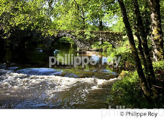 PONT ROMAN SUR LA VIENNE,  PLATEAU DE MILLEVACHES, COMMUNE DE NEDDE, HAUTE VIENNE, LIMOUSIN. (87F02201.jpg)