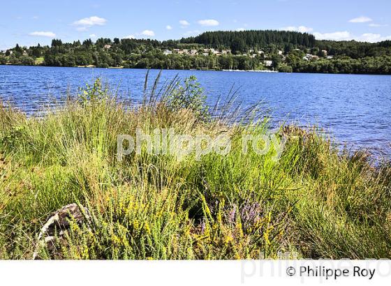 LAC  DE VASSIVIERE, LIMOUSIN. (87F02304.jpg)