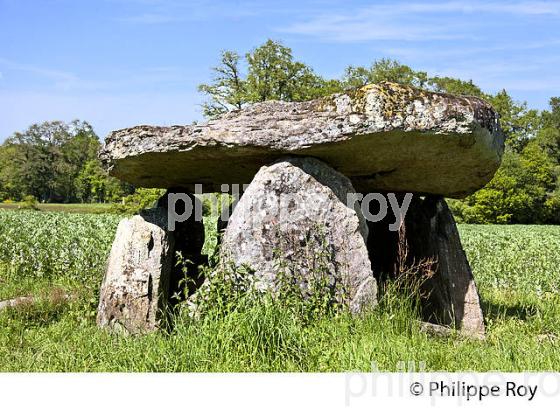 MEGALITHE, MONTS DE BLOND,  HAUTE-VIENNE, LIMOUSIN. (87F02703.jpg)