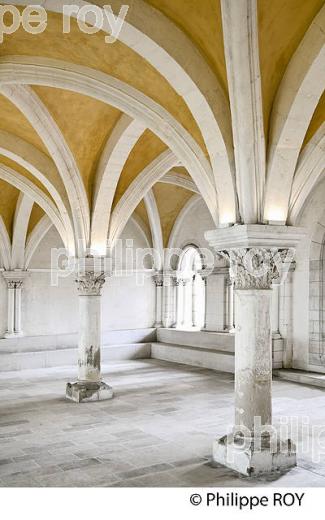 ABBAYE SAINT GERMAIN, VILLE D' AUXERRE, YONNE, BOURGOGNE. (89F00338.jpg)