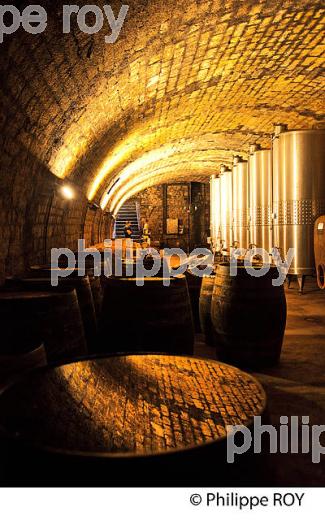 CAVE DU CLOS SAINT JACQUES, COTE SAINT-JACQUES,  VIN DE MICHEL LORAIN, CHEF ETOILE, JOIGNY, BOURGOGNE. (89F00640.jpg)