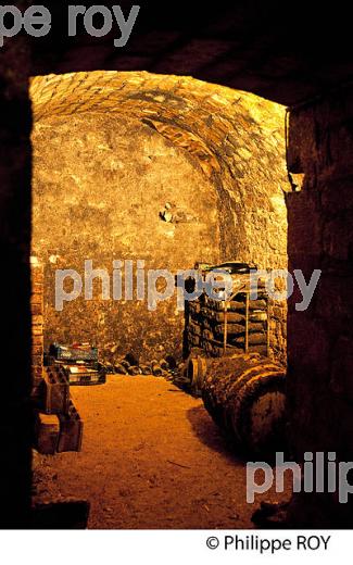 CAVE DU CLOS SAINT JACQUES, COTE SAINT-JACQUES,  VIN DE MICHEL LORAIN, CHEF ETOILE, JOIGNY, BOURGOGNE. (89F00701.jpg)