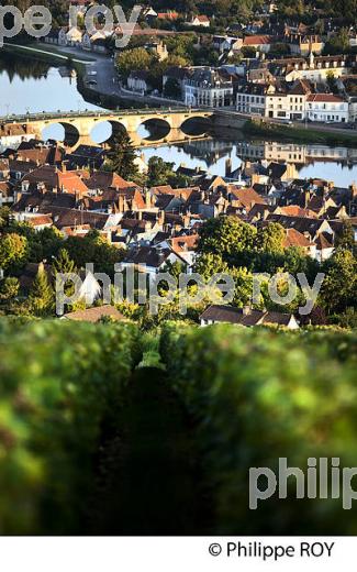 VIGNOBLE DE LA COTE SAINT JACQUES, LA  VILLE DE JOIGNY, ET L' YONNE, VALLEE DE L' YONNE,  BOURGOGNE. (89F00704.jpg)