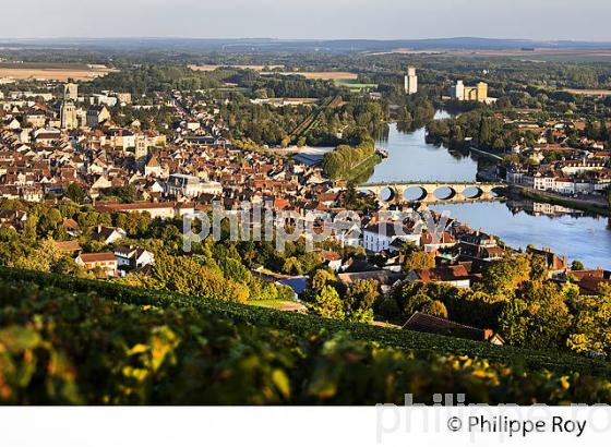 VIGNOBLE DE LA COTE SAINT JACQUES, LA  VILLE DE JOIGNY, ET L' YONNE, VALLEE DE L' YONNE,  BOURGOGNE. (89F00714.jpg)