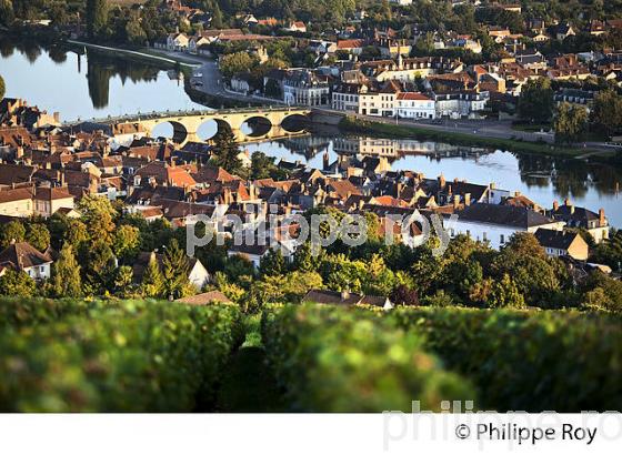 VIGNOBLE DE LA COTE SAINT JACQUES, LA  VILLE DE JOIGNY, ET L' YONNE, VALLEE DE L' YONNE,  BOURGOGNE. (89F00715.jpg)