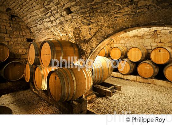 L' OBEDIENCERIE, CAVE DU DOMAINE LAROCHE, VIN  DE BOURGOGNE, AOC CHABLIS,  YONNE, BOURGOGNE . (89F01528.jpg)