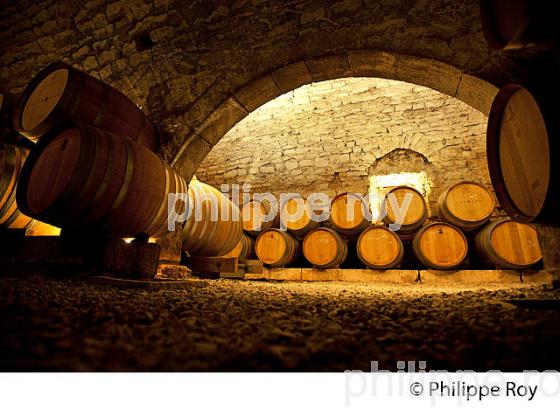 L' OBEDIENCERIE, CAVE DU DOMAINE LAROCHE, VIN  DE BOURGOGNE, AOC CHABLIS,  YONNE, BOURGOGNE . (89F01530.jpg)