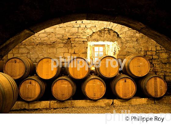 L' OBEDIENCERIE, CAVE DU DOMAINE LAROCHE, VIN  DE BOURGOGNE, AOC CHABLIS,  YONNE, BOURGOGNE . (89F01532.jpg)