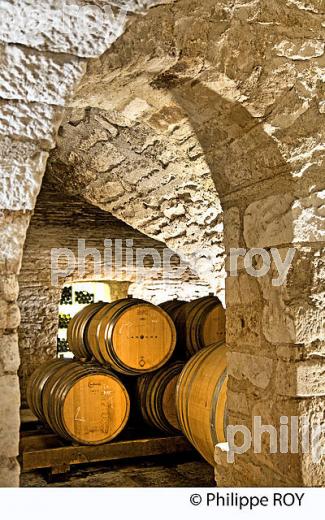 L' OBEDIENCERIE, CAVE DU DOMAINE LAROCHE, VIN  DE BOURGOGNE, AOC CHABLIS,  YONNE, BOURGOGNE . (89F01533.jpg)