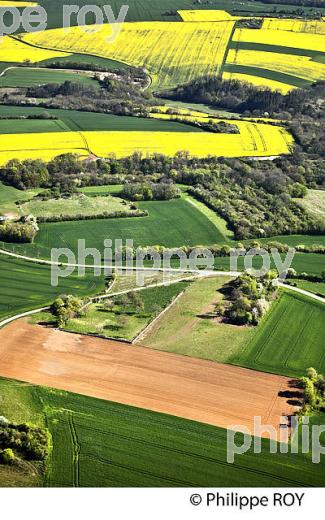 PAYSAGE AGRICOLE DES COLLINES DE  LA PUISAYE AU PRINTEMPS, YONNE, BOURGOGNE. (89F02133.jpg)