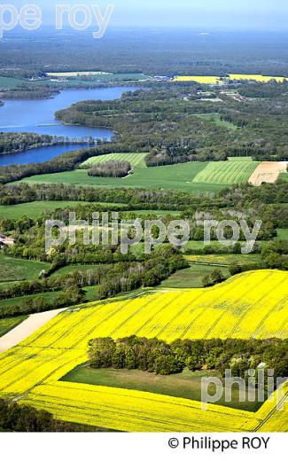 LAC DU BOURDON ET PAYSAGE AGRICOLE DES COLLINES DE  LA PUISAYE AU PRINTEMPS, YONNE, BOURGOGNE. (89F02134.jpg)