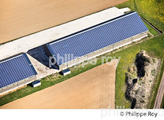 PANNEAUX SOLAIRE SUR FERME  ET AGRICULTURE, LES COLLINES DE  LA PUISAYE AU PRINTEMPS, YONNE, BOURGOGNE. (89F02138.jpg)