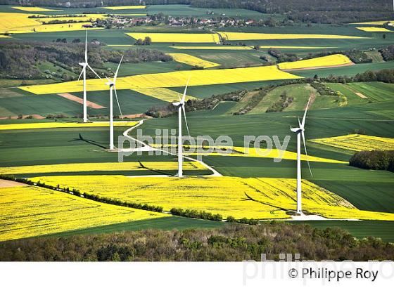 EOLIENNES ET PAYSAGE AGRICOLE DES COLLINES DE  LA PUISAYE AU PRINTEMPS, YONNE, BOURGOGNE. (89F02140.jpg)