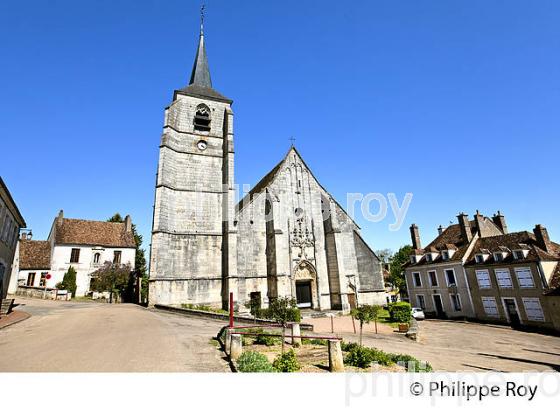 EGLISE DU VILLAGE DE TREIGNY,  LA PUISAYE ,YONNE, BOURGOGNE (89F02427.jpg)