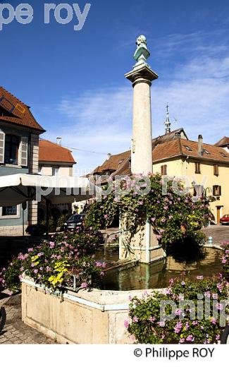 VILLE DE DELLE, TERRITOIRE DE BELFORT, FRANCE (90F00525.jpg)
