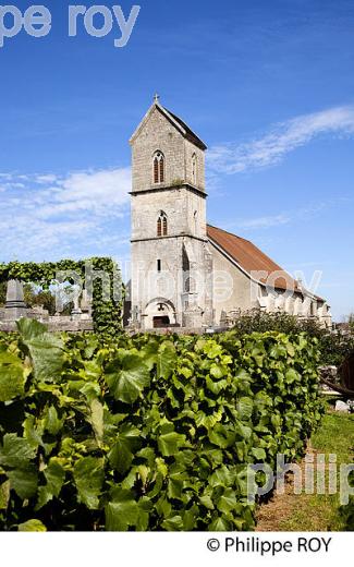 SAINT-DIZIER L'EVEQUE, TERRITOIRE DE BELFORT, FRANCE (90F00636.jpg)