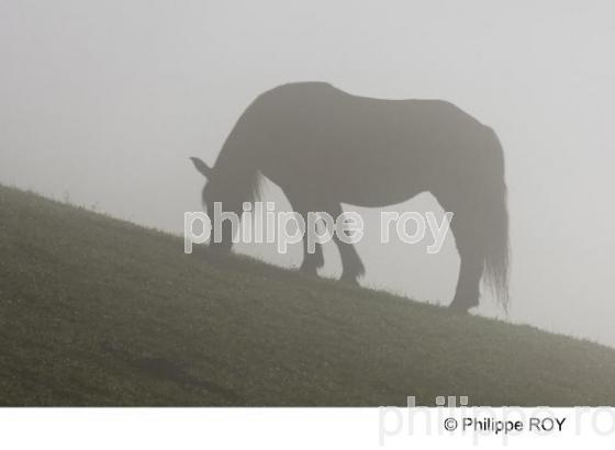 Bad Hofgastein - Autriche (AT000426.jpg)