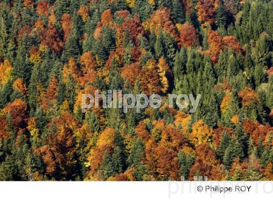 Le Voralberg - Autriche (AT002132.jpg)