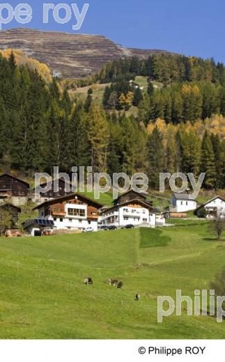 Le Tyrol - Autriche (AT002324.jpg)