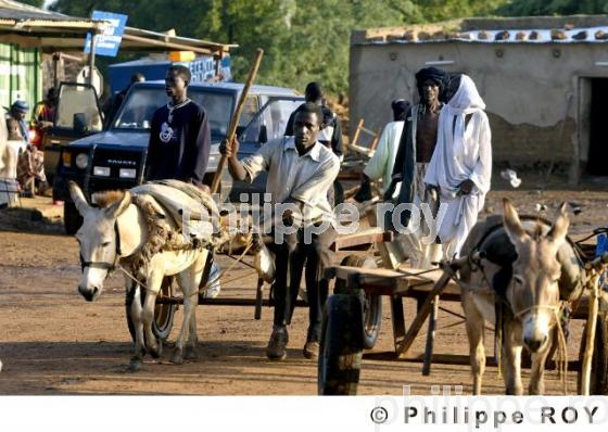 Gorom Gorom - Burkina Faso (BF001214.jpg)