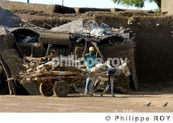 Gorom Gorom - Burkina Faso (BF001216.jpg)