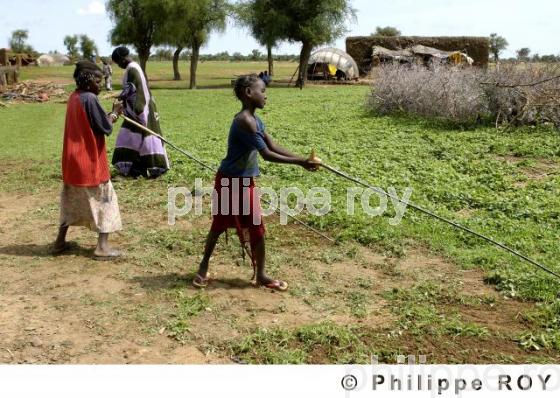 Gorom Gorom - Burkina Faso (BF001318.jpg)