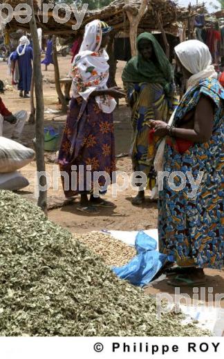 Gorom Gorom - Burkina Faso (BF001326.jpg)