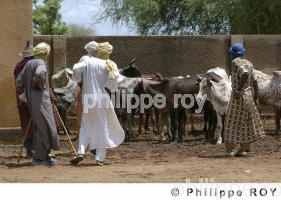 Gorom Gorom - Burkina Faso (BF001412.jpg)