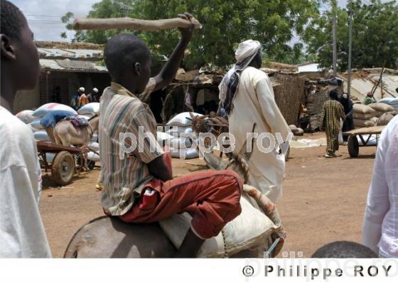 Gorom Gorom - Burkina Faso (BF001434.jpg)