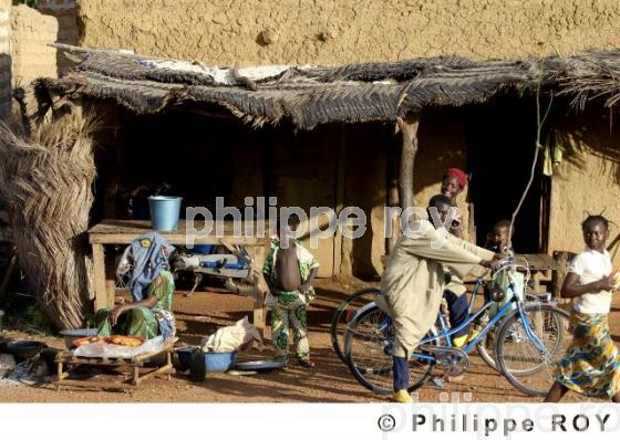 Le Burkina Faso (BF001839.jpg)