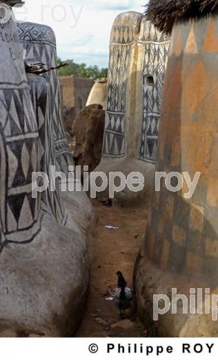 Tibl - Burkina Faso (BF002836.jpg)