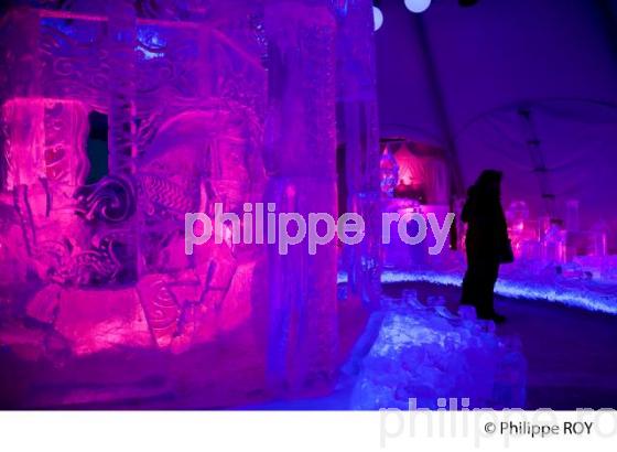 PALAIS DE GLACE, CARNAVAL DE QUEBEC (CA001135.jpg)