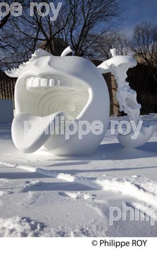 CONCOURS DE SCULPTURE SUR NEIGE, CARNAVAL DE QUEBEC (CA001225.jpg)
