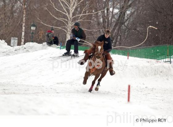 SKI JORING , CARNAVAL DE QUEBEC (CA001313.jpg)