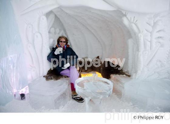 HOTEL DE GLACE, QUEBEC (CA001514.jpg)