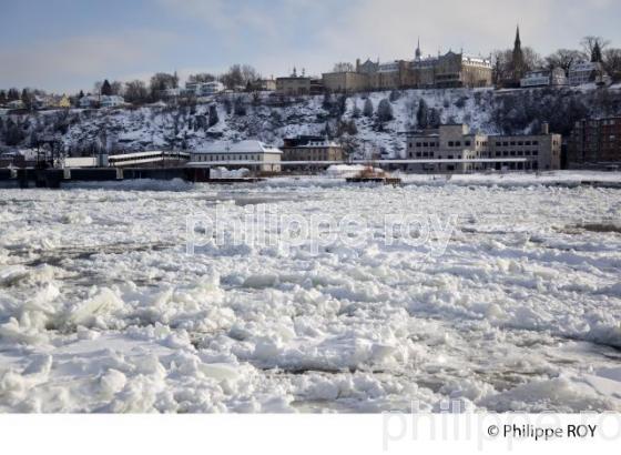 LEVIS EN HIVER, QUEBEC (CA001610.jpg)