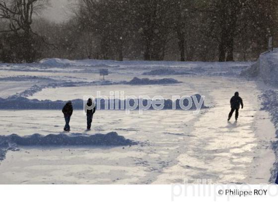 PATINAGE DE VITESSE , QUEBEC (CA001618.jpg)
