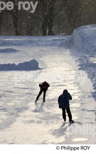 PATINAGE DE VITESSE , QUEBEC (CA001623.jpg)