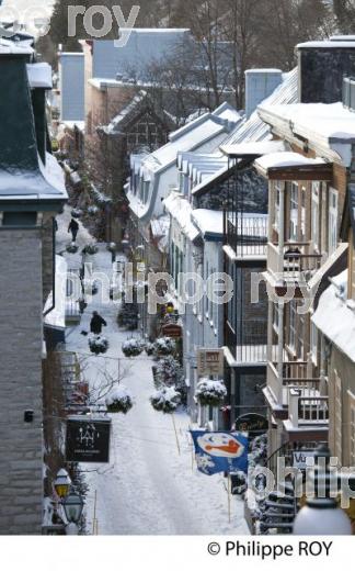 QUARTIER DU PETIT CHAMPLAIN EN HIVER , QUEBEC (CA001702.jpg)