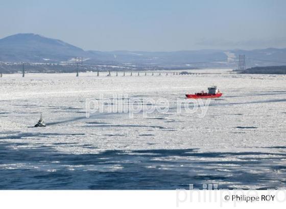 LE FLEUVE SAINT LAURENT EN HIVER (CA002010.jpg)