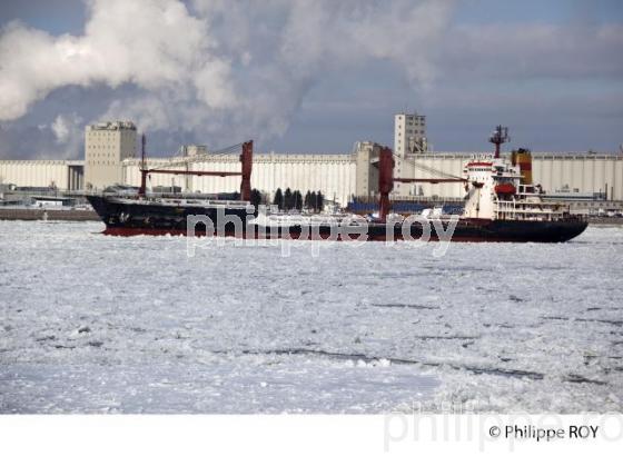 LE FLEUVE SAINT LAURENT EN HIVER (CA002025.jpg)