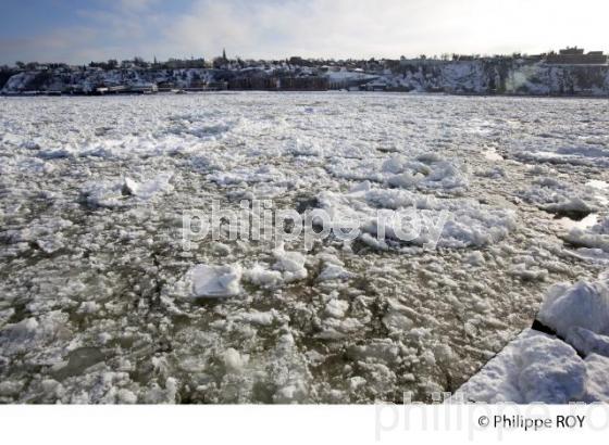 LE FLEUVE SAINT LAURENT EN HIVER (CA002036.jpg)